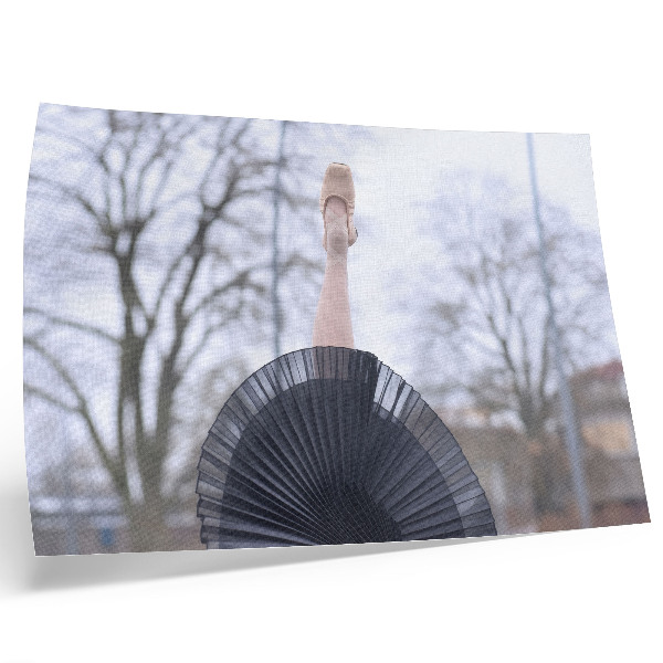 Affiche Ballet, subtilité, harmonie, ambiance locale