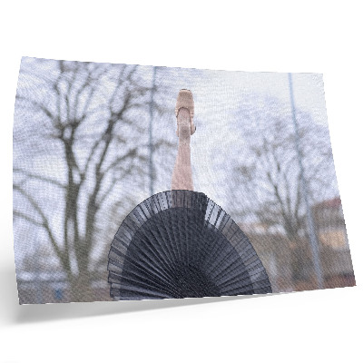 Affiche Ballet, subtilité, harmonie, ambiance locale