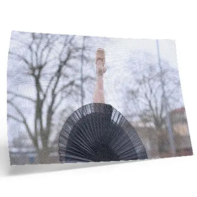 Affiche représentant le ballet avec subtilité, harmonie et une ambiance locale