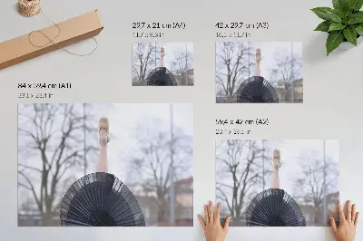Affiche représentant le ballet avec subtilité, harmonie et une ambiance locale