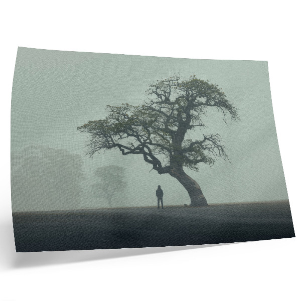 Affiche et poster L'atmosphère d'un arbre solitaire, brume et silhouette sombre