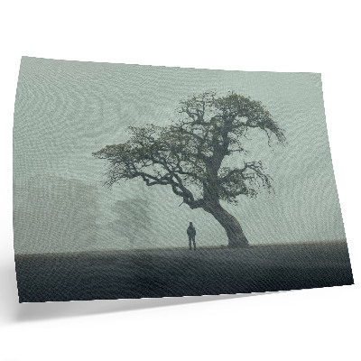Affiche et poster L'atmosphère d'un arbre solitaire, brume et silhouette sombre