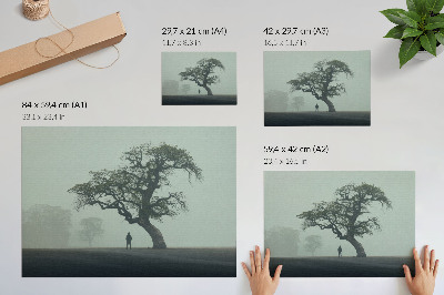 Affiche et poster L'atmosphère d'un arbre solitaire, brume et silhouette sombre