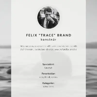 Affiche décorative portrait d'une chouette en vol représentant une élégance unique dans une atmosphère paisible