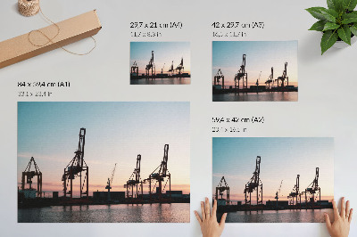 Affiche et poster Grues dans le port au coucher du soleil