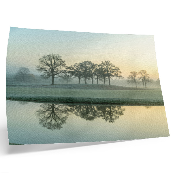 Affiche et poster Surface de l'eau calme, reflet des arbres, léger brouillard