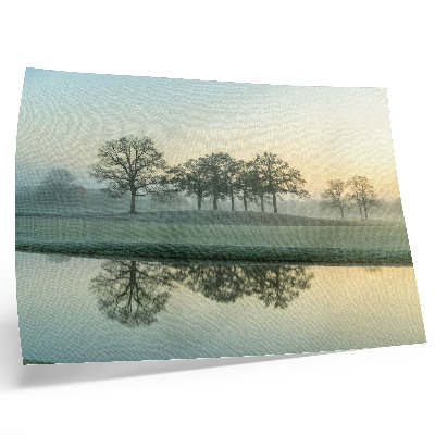 Affiche et poster Surface de l'eau calme, reflet des arbres, léger brouillard