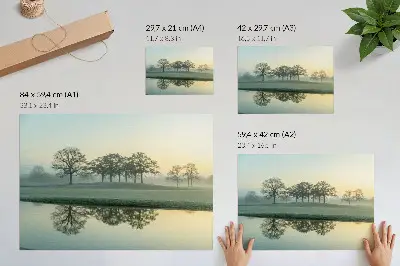 Affiche et poster surface de l'eau calme avec reflet des arbres et léger brouillard
