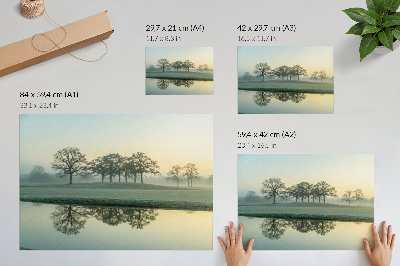Affiche et poster Surface de l'eau calme, reflet des arbres, léger brouillard