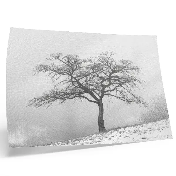 Affiche arbre solitaire dans une atmosphère de paix hivernale au style minimaliste et harmonieux