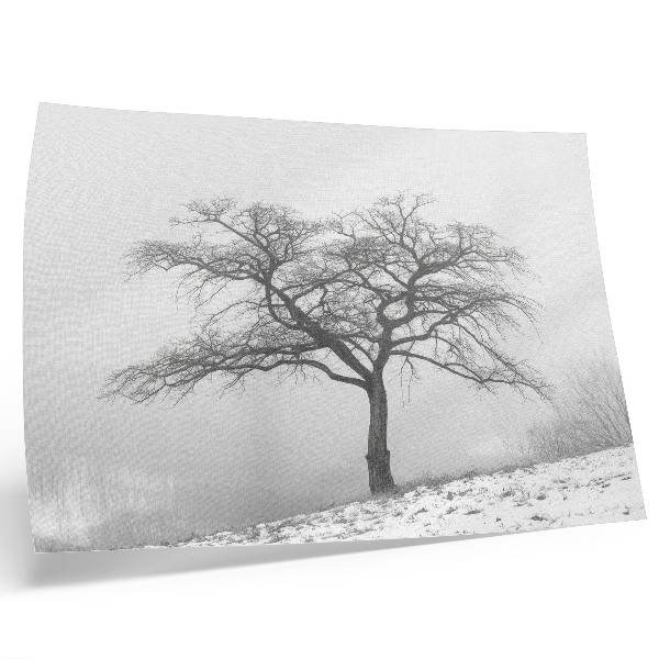 Affiche Arbre solitaire, paix hivernale, minimalisme, harmonie