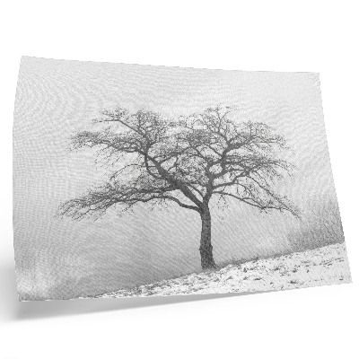 Affiche Arbre solitaire, paix hivernale, minimalisme, harmonie