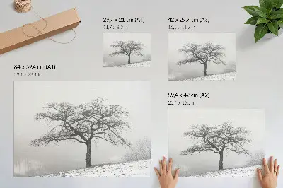 Affiche arbre solitaire dans une atmosphère de paix hivernale au style minimaliste et harmonieux
