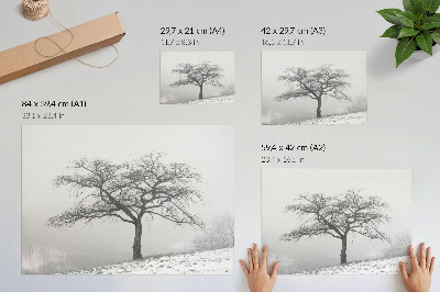 Affiche Arbre solitaire, paix hivernale, minimalisme, harmonie
