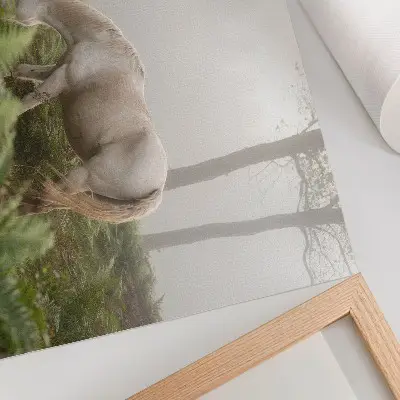 Affiche décorative cheval se détachant sur un fond de fougères dans une forêt brumeuse
