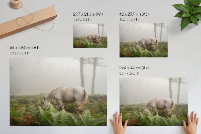 Affiche décorative Un cheval se détachant sur un fond de fougères dans une forêt brumeuse