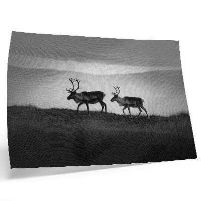 Affiche et poster Renne sur une colline composition minimaliste