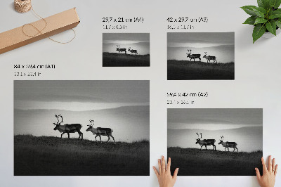 Affiche et poster Renne sur une colline composition minimaliste