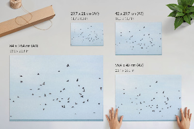 Affiche Un vol d'oiseaux au-dessus de la mer bleue