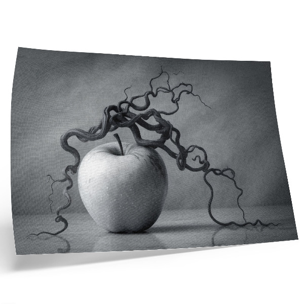 Affiche et poster Le contraste entre la pomme et la branche est un monochrome harmonieux.