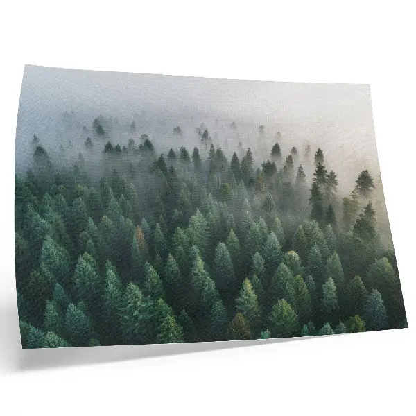 Affiche décorative forêt verdoyante dans le brouillard à l'atmosphère mystérieuse
