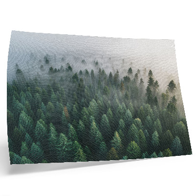 Affiche décorative Forêt verdoyante dans le brouillard, atmosphère mystérieuse