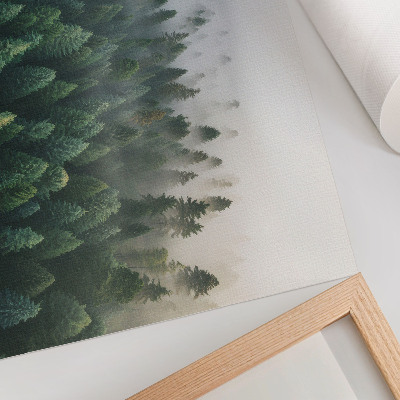 Affiche décorative Forêt verdoyante dans le brouillard, atmosphère mystérieuse