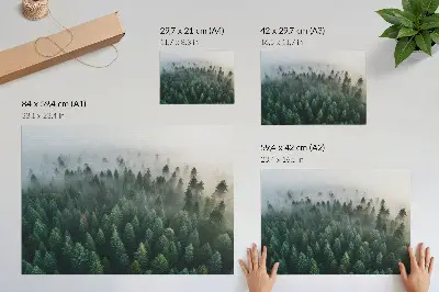 Affiche décorative forêt verdoyante dans le brouillard à l'atmosphère mystérieuse