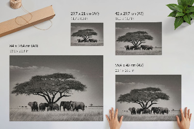 Affiche et poster Des éléphants sous un arbre dans la savane africaine