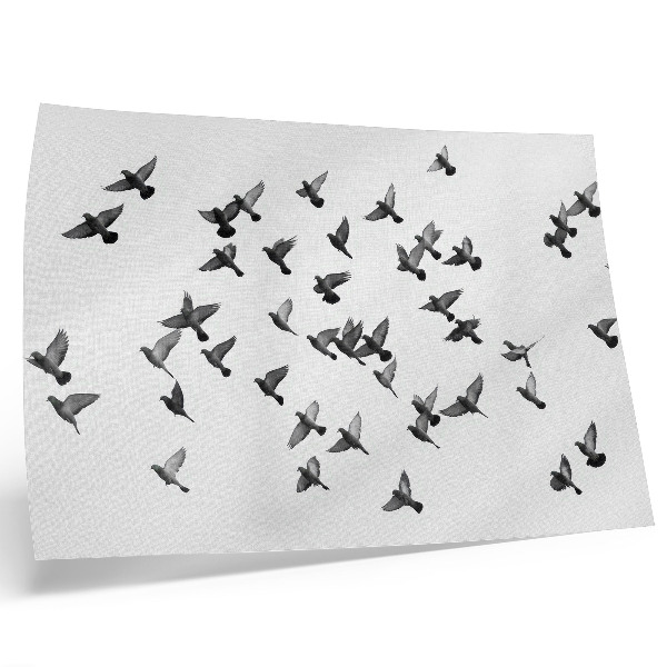 Affiche décorative Oiseaux en vol Harmonies élégantes en noir et blanc