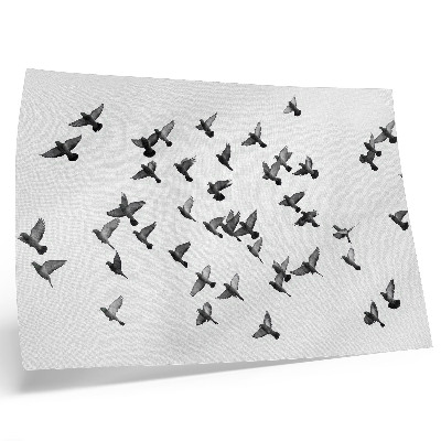 Affiche décorative Oiseaux en vol Harmonies élégantes en noir et blanc
