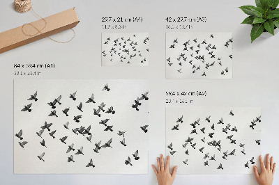 Affiche décorative Oiseaux en vol Harmonies élégantes en noir et blanc