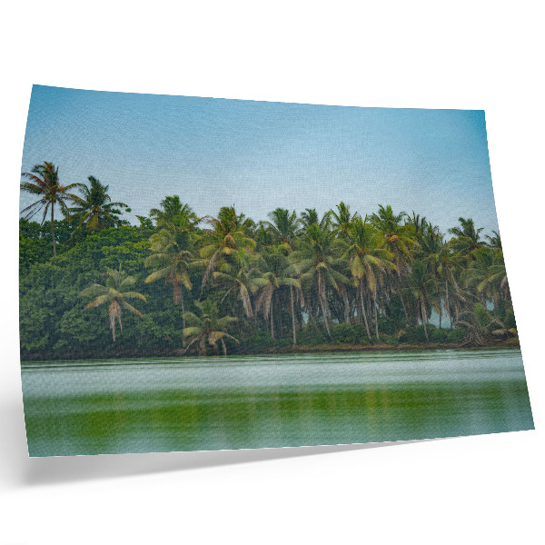 Affiche décorative Palmiers tropicaux, eau calme, ciel harmonieux