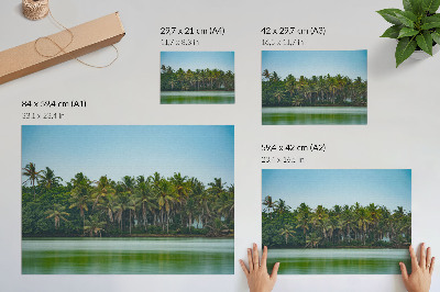 Affiche décorative Palmiers tropicaux, eau calme, ciel harmonieux