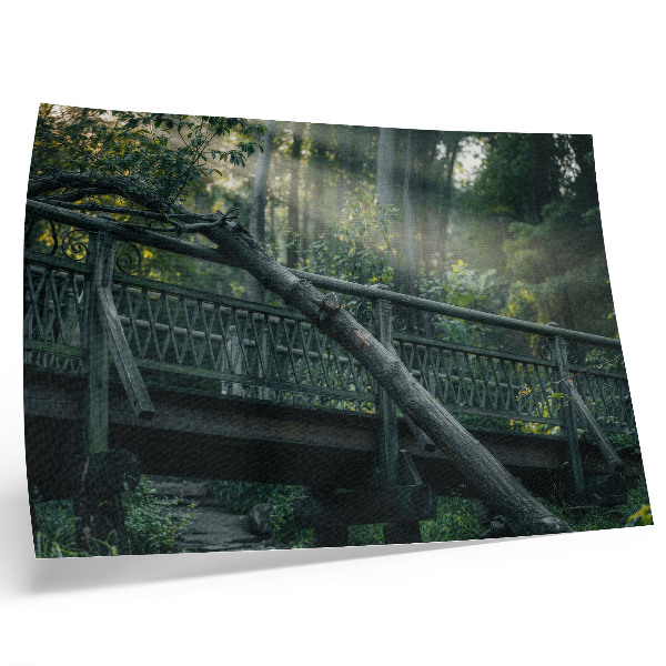 Affiche décorative Un pont en bois au milieu de la verdure et du soleil