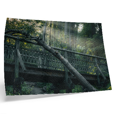 Affiche décorative Un pont en bois au milieu de la verdure et du soleil