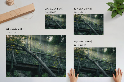 Affiche décorative Un pont en bois au milieu de la verdure et du soleil
