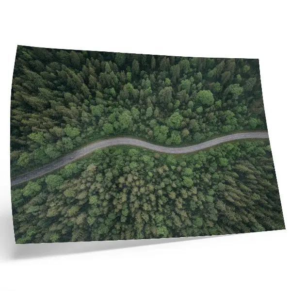 Affiche décorative route sinueuse bordée d'une forêt verdoyante à l'atmosphère paisible
