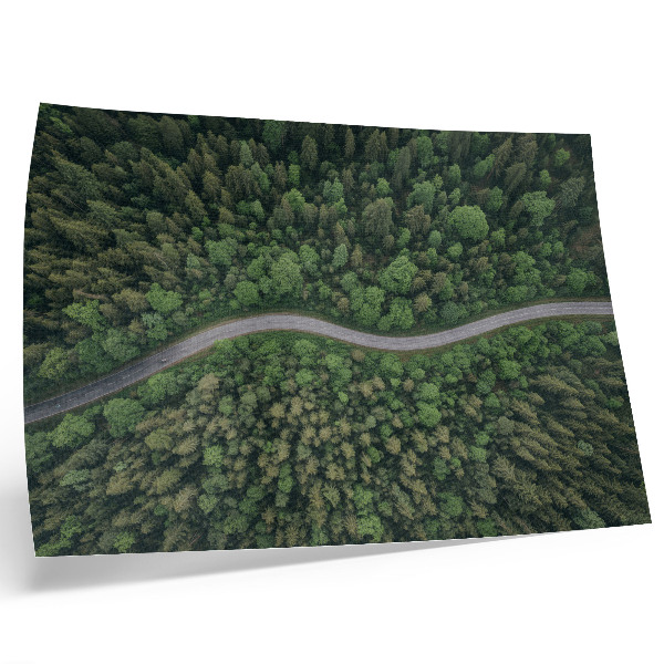 Affiche décorative Route sinueuse bordée de forêt verdoyante, atmosphère paisible
