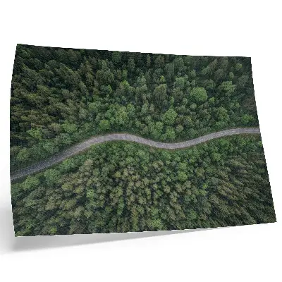 Affiche décorative route sinueuse bordée d'une forêt verdoyante à l'atmosphère paisible