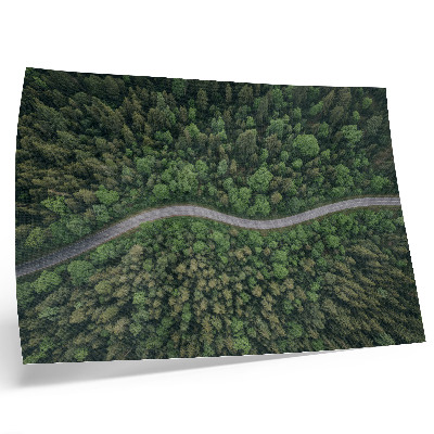 Affiche décorative Route sinueuse bordée de forêt verdoyante, atmosphère paisible