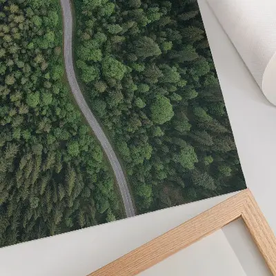 Affiche décorative route sinueuse bordée d'une forêt verdoyante à l'atmosphère paisible