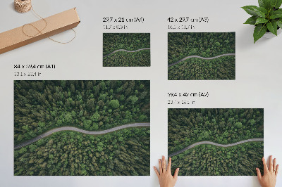 Affiche décorative Route sinueuse bordée de forêt verdoyante, atmosphère paisible