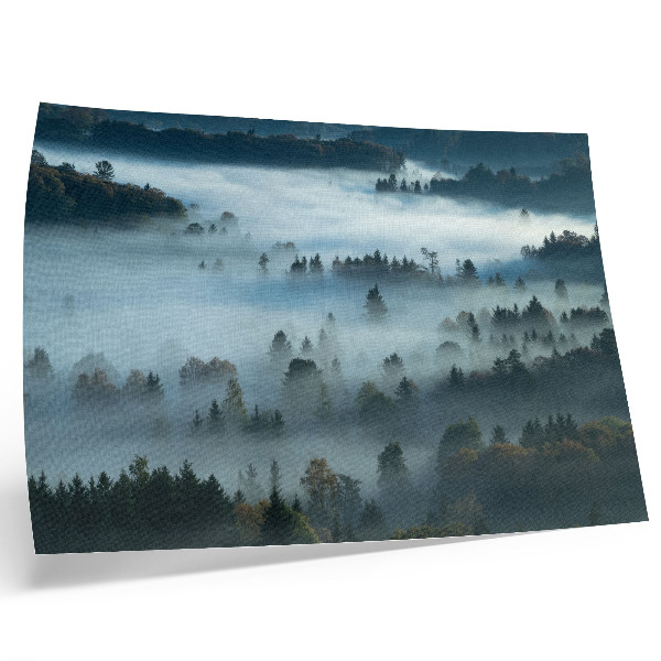 Affiche Arbres verts dans le brouillard, atmosphère paisible, couleurs douces