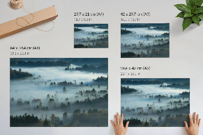 Affiche Arbres verts dans le brouillard, atmosphère paisible, couleurs douces