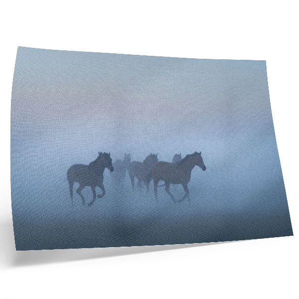 Affiche décorative Chevaux dans le brouillard, une composition apaisante empreinte de paix