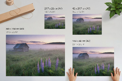 Affiche Chalet en bois pittoresque brume fleurs nature