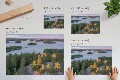 Affiche décorative Forêt de pins, île, lac, ciel pastel