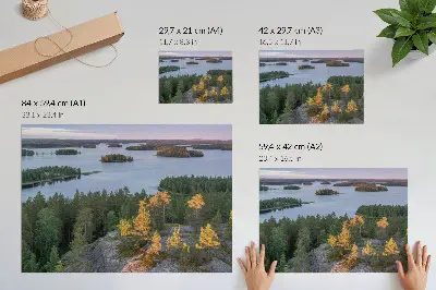 Affiche décorative forêt de pins, île, lac et ciel pastel