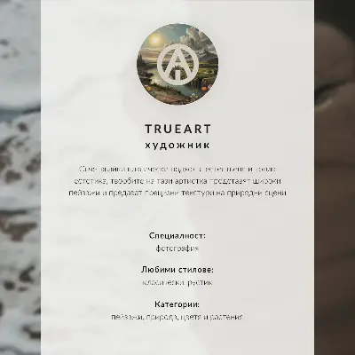 Affiche décorative forêt de pins, île, lac et ciel pastel